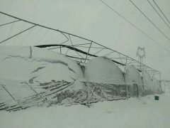 2018一場大雪，考驗了多少個溫室大棚的質量！